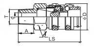 QKD-X