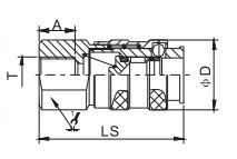 HS-DG