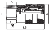 HS-PTF