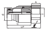 HS-PTF