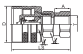 HS-CVV