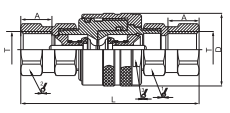 HS-CVV