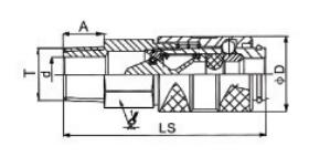 HS-19